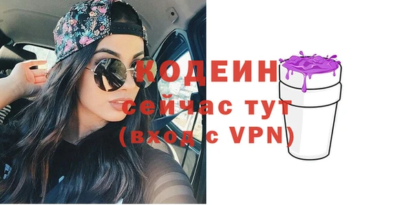 крисы Горняк