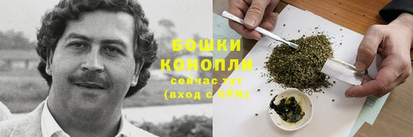 крисы Горняк