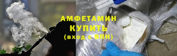 крисы Горняк