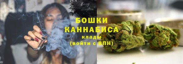 крисы Горняк