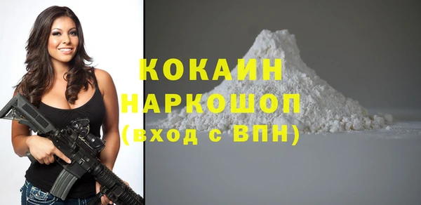 крисы Горняк