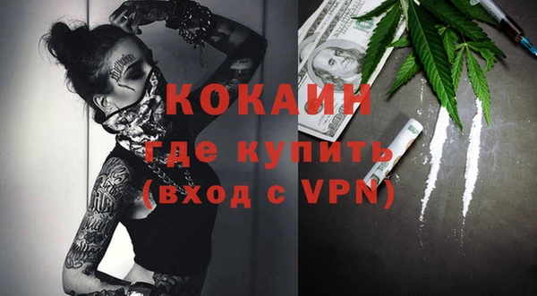 крисы Горняк