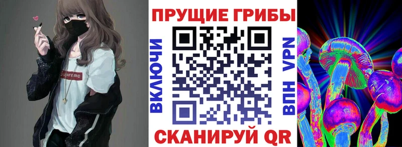 Псилоцибиновые грибы GOLDEN TEACHER  Завитинск 